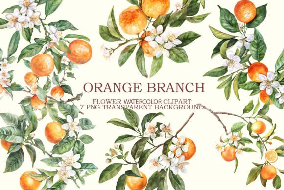 Download Orange Branch Clipart Bundle - Branch Collection